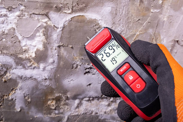 Best Emergency Mold Removal  in Wagoner, OK